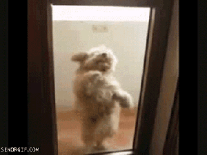 The treat is behind Door #1. Come and get it, Cupcake!