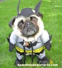 Holy Bad Idea, Bat Man!