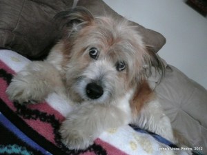 Seriously, People. Mom and I wish you all the best that life has to offer. And don't worry about the Mayan Prophecy. Personally, I think someone's chisel slipped, they got fired (maybe literally), and then never got back to the calendar because they were being attacked. Stuff like that happened back then.