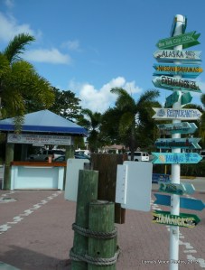 It's a big world out there and I don't know which way to go next.