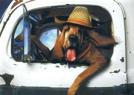 I got tired of looking for an appropriate picture and this one made me smile, so I picked it. Golly, I do need luck...