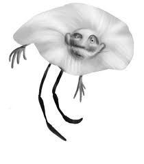 Yeah, you! What the heck were you doing setting up shop around my butt? Did I really need a "No Squatters" sign?