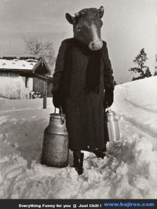 Imagine the money you'd save on make up and the conversations you'd start but wouldn't have to be a part of...