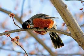 Ah, that's more like it.