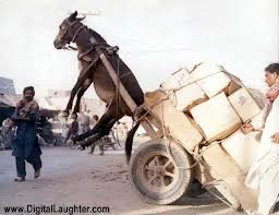 Don't worry! Once she hits the ground, there's no stopping her. 