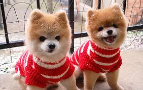 This is so strange. I know everyone is supposed to have a double, but one that has the same awesome-sauce fashion sense?