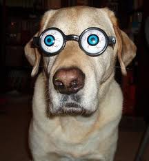 Continue. You've got my attention at least until something better comes along.