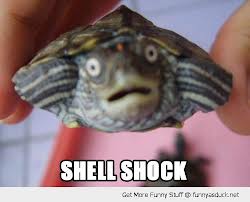 Maybe that's where the term comes from.