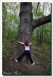 I really should stick with objects from nature that are less apt to move quickly and startle me.