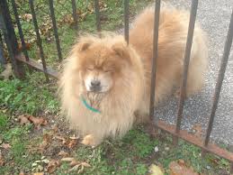 Sure. No problem. I'll be happy to stand here while you snap some pictures. Take your time. I'm not going anywhere. Hey! Wait! Where are YOU going? How am I going to explain this to the neighbors? Not your problem, you say? Well just you wait and see how my problem becomes your problem right after my problem gets solved. Never mind. It makes sense to me.