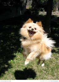 Don't you just love jumping for joy?