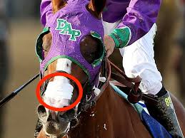 He's the only horse that doesn't snore.