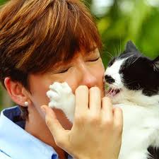 There, there, Princess Leah, this is National Hug Your Cat Day. It's a good thing.