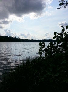 View from our tiny "beach." The pond was high due to the wet summer we've had.