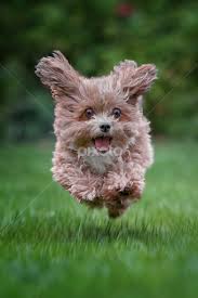 Yup. You're happy because good things are happening to me, not because you don't have to feel guilty deleting all my posts you don't want to read.