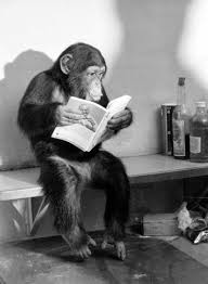 I don't care about that banana cream pie. This new novel by Lorna Lee is just too good to put down.