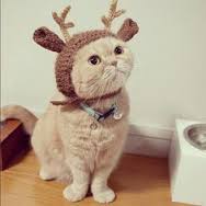 That's all she can afford.