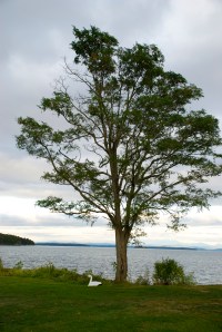 The scenic backdrop for out illegal shindig.