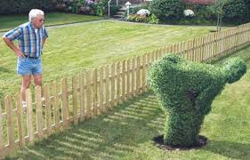 Don't you admire what people can do with a shrub, hedge clippers, and a little imagination?