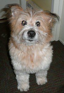 How could she ever replace me? I mean, really?