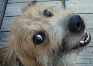 Who loves ya, Baby? I do!