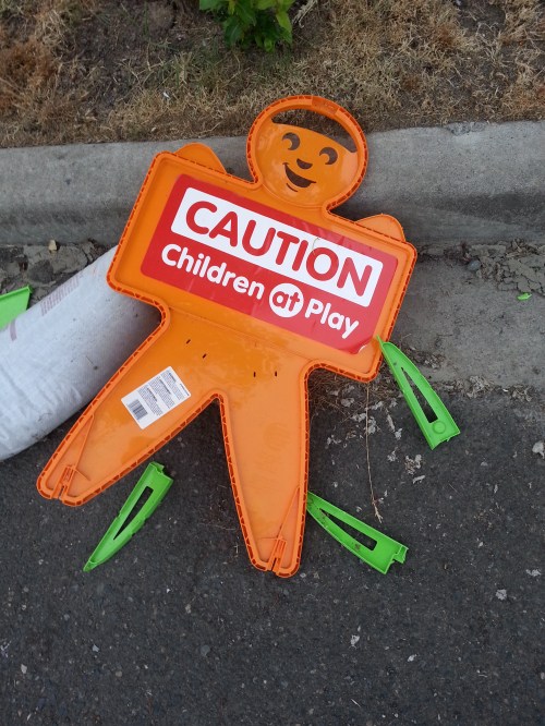 I took this picture in my neighborhood. You know, the one where all the screaming, running, jumping children play...