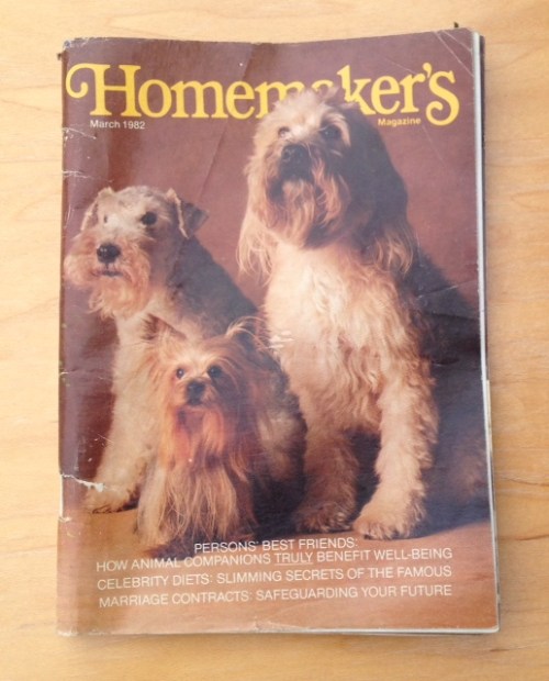 Dogs! Let's keep them safe