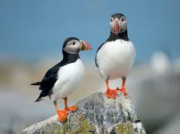 Hmm. You look very familiar. I feel as if I've seen you before. 