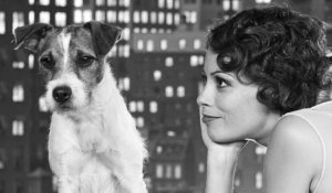 What a nice dog! I really like your dog! Can I bond with your dog? I really miss my dog. Your dog is so sweet...