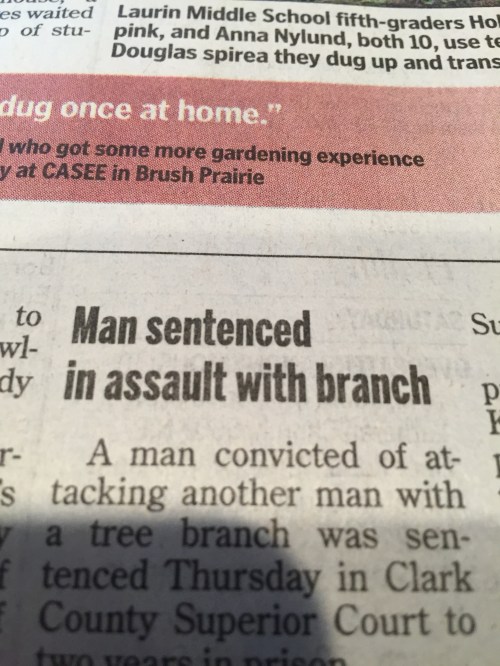 I never enjoy reading about violence and I'm just sick about all the gun violence. So this story struck me as, well, a nice change of pace. I still hope they stick it to the assaulter, but at least his weapon was made from all natural ingredients.