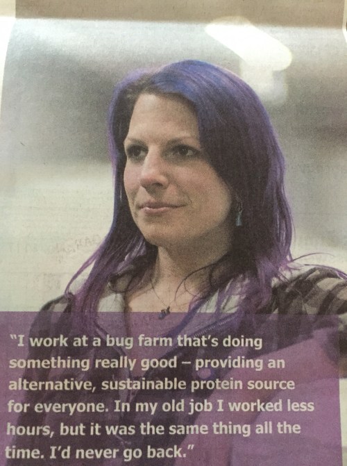 I had to read this advertisement several times. I'm happy that Purple Hair Woman found her life's calling. I'm worried that crickets have become the "other white meat."