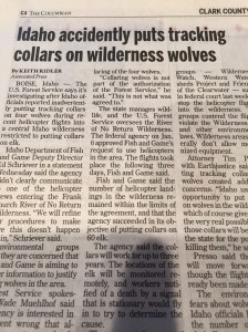 I know there is a big article here, but could someone please explain to me in simple terms how ANYONE could put a collar on a wild wolf by mistake? Seems like a lot of trouble to go to when you weren't specifically instructed to do so.