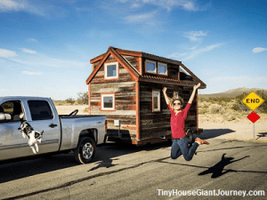 Is the person and dog in this picture: a. jumping for tiny house joy b. stretching after tiny house confinement c. attempting tiny house escape. d. experiencing brief psychotic episode.