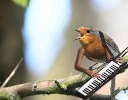 That's not what I meant, but, okay.