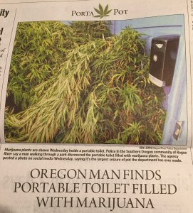 I'm guessing these plants didn't quite make it to the state fair. I've seen some odd things in port-a-potties in my day, but nothing like this.